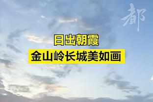 英媒：球迷冲入球场抗议中资老板，雷丁与维尔港的英甲被取消